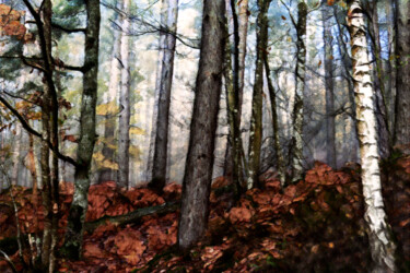 Photography titled "Forêt d'automne" by Pierre-Marie Fenech, Original Artwork, Manipulated Photography