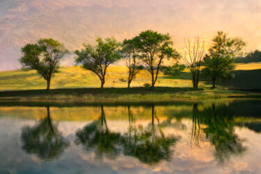 Photography titled "Six arbres" by Pierre-Marie Fenech, Original Artwork, Manipulated Photography