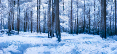 Photographie intitulée "Eté - Hiver" par Pierre-Marie Fenech, Œuvre d'art originale, Photographie manipulée