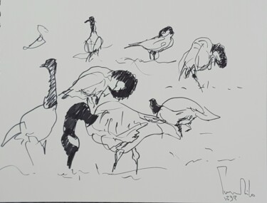 Disegno intitolato "Les oies au Grand P…" da Pierre Milosavljevic, Opera d'arte originale, Inchiostro