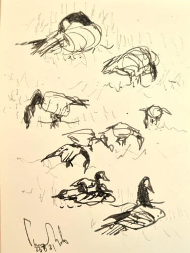 Drawing titled "Études d'oies du gr…" by Pierre Milosavljevic, Original Artwork, Ink