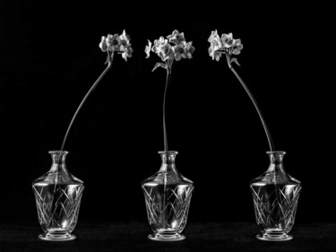 Photographie intitulée "Les Flombres : le N…" par Pierre Nadler, Œuvre d'art originale, Photographie numérique