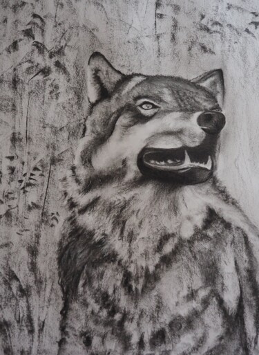 Drawing titled "Loup" by Pierre Patenet, Original Artwork, Charcoal