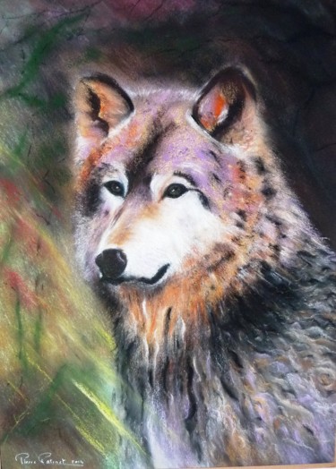 Pintura titulada "Le loup" por Pierre Patenet, Obra de arte original, Pastel