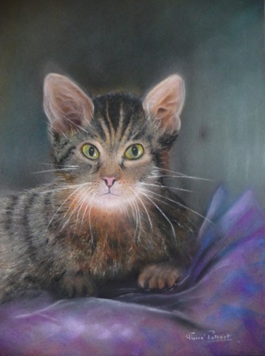 Peinture intitulée "le-chaton.jpg" par Pierre Patenet, Œuvre d'art originale, Pastel