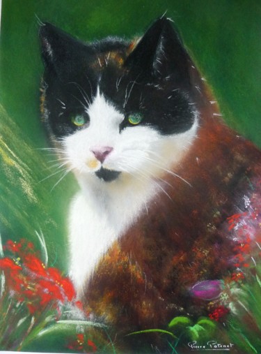 Peinture intitulée "Le chat au jardin." par Pierre Patenet, Œuvre d'art originale, Pastel