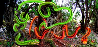 Digitale Kunst mit dem Titel "NATURE SERPENTINE" von Pierre Peytavin, Original-Kunstwerk, 2D digitale Arbeit