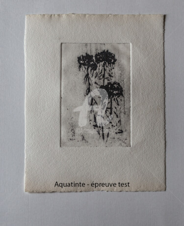 Printmaking titled "Aquatinte au sucre" by Pierre Pilling, Original Artwork, Etching