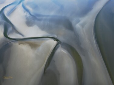 Fotografia intitulada "Seal Head" por Pierre Piton, Obras de arte originais, Fotografia digital