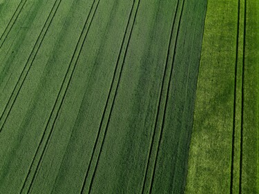 Фотография под названием "Polder 1 - Agricult…" - Pierre Piton, Подлинное произведение искусства, Цифровая фотография