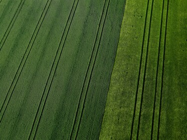 Photographie intitulée "Polder 2 - Agricult…" par Pierre Piton, Œuvre d'art originale, Photographie numérique