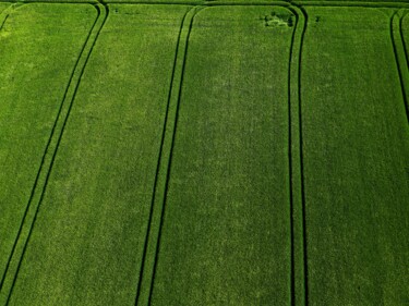 Photographie intitulée "Polder 3 - Agricult…" par Pierre Piton, Œuvre d'art originale, Photographie numérique