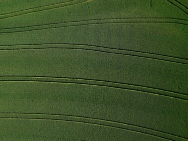 Fotografie getiteld "Polder 4 - Agricult…" door Pierre Piton, Origineel Kunstwerk, Digitale fotografie