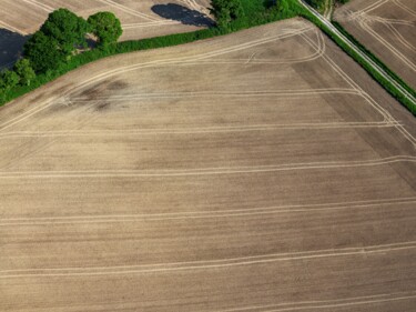 Фотография под названием "Polder 5 - Agricult…" - Pierre Piton, Подлинное произведение искусства, Цифровая фотография