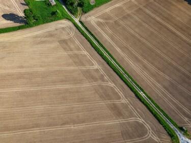 Фотография под названием "Polder 6 - Agricult…" - Pierre Piton, Подлинное произведение искусства, Цифровая фотография