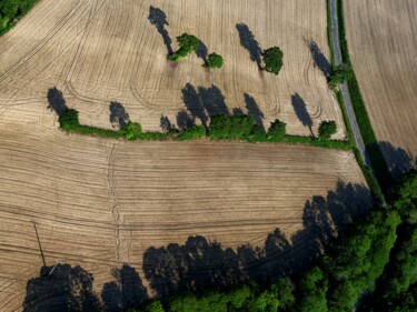Photographie intitulée "Polder 10 - Agricul…" par Pierre Piton, Œuvre d'art originale, Photographie numérique