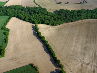 Фотография под названием "Polder 12 - Agricul…" - Pierre Piton, Подлинное произведение искусства, Цифровая фотография
