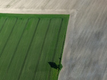 Photographie intitulée "Polder 14 - Agricul…" par Pierre Piton, Œuvre d'art originale, Photographie numérique