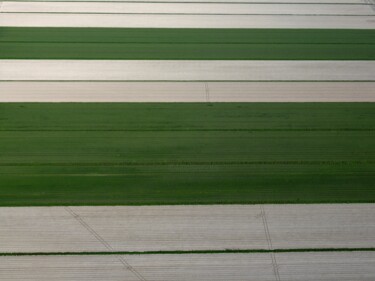 Fotografia intitolato "Polder 16 - Agricul…" da Pierre Piton, Opera d'arte originale, Fotografia digitale