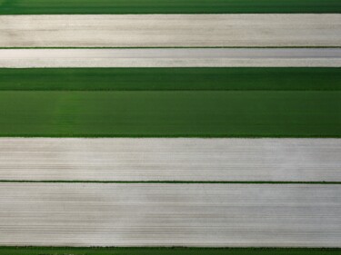 Photographie intitulée "Polder 17 - Agricul…" par Pierre Piton, Œuvre d'art originale, Photographie numérique