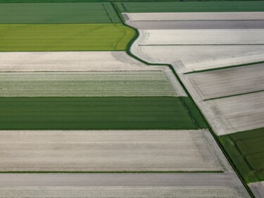 摄影 标题为“Polder 19 - Agricul…” 由Pierre Piton, 原创艺术品, 数码摄影