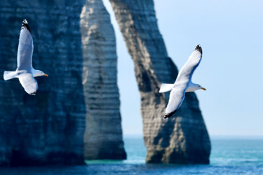 Etretat, l’arche Photographie intitulée "Etretat, l’arche" par Pierre-Yves Rospabé, Œuvre d'art originale, Photographie numérique