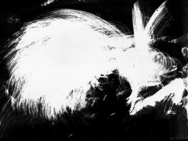 Photographie intitulée "Albus Lepus" par Pierre Sempé, Œuvre d'art originale