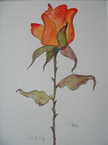 Painting titled "La rose" by Pierre Varési Pierre, Original Artwork