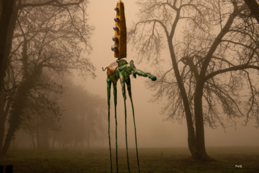 Photography titled "In the mist" by Pierre Wurtz, Original Artwork, Digital Photography Mounted on Aluminium