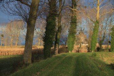 Photographie intitulée "Les Chemins du Mont…" par Pierre-Yves Rospabé, Œuvre d'art originale, Photographie numérique