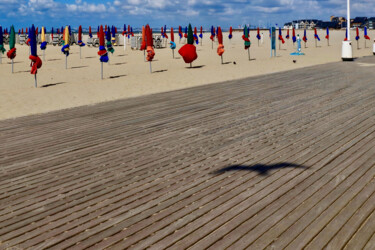 Φωτογραφία με τίτλο "Mouette-Planches de…" από Pierre-Yves Rospabé, Αυθεντικά έργα τέχνης, Ψηφιακή φωτογραφία