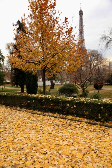 Фотография под названием "automne, jardin du…" - Pierre-Yves Rospabé, Подлинное произведение искусства, Цифровая фотография