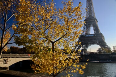 Фотография под названием "Pont d'Iéna Tour Ei…" - Pierre-Yves Rospabé, Подлинное произведение искусства, Цифровая фотография