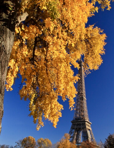 Fotografia intitolato "Paris, Tour Eiffel…" da Pierre-Yves Rospabé, Opera d'arte originale, Fotografia digitale