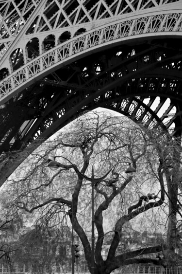 Photographie intitulée "Paris, L'arbre deva…" par Pierre-Yves Rospabé, Œuvre d'art originale, Photographie numérique