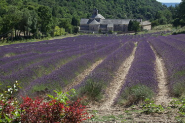 Photographie intitulée "Provence, Abbaye de…" par Pierre-Yves Rospabé, Œuvre d'art originale, Photographie numérique