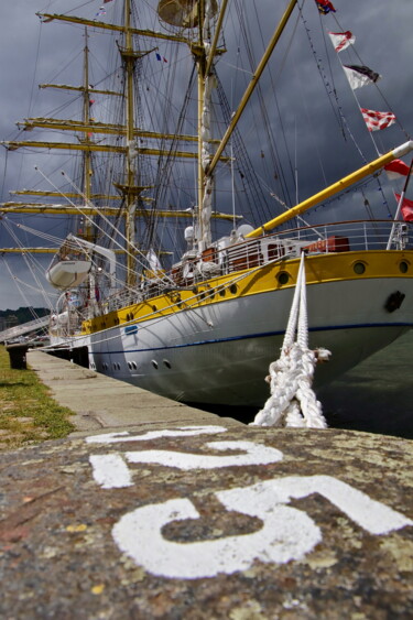 Fotografia zatytułowany „Armada, Rouen, Gran…” autorstwa Pierre-Yves Rospabé, Oryginalna praca, Fotografia cyfrowa