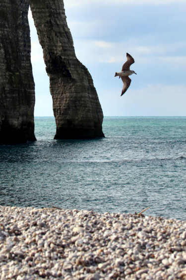 Fotografia intitulada "Etretat, falaise d’…" por Pierre-Yves Rospabé, Obras de arte originais, Fotografia digital