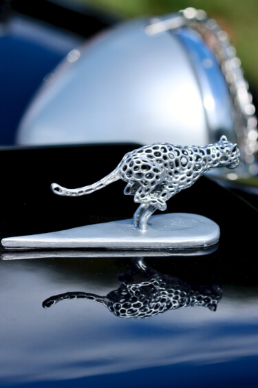 摄影 标题为“Panther (2)” 由Pierre-Yves Rospabé, 原创艺术品, 数码摄影