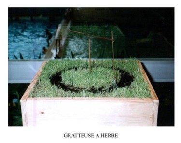 Sculpture intitulée "gratteuse à  herbe" par Pierre Bourquin, Œuvre d'art originale, Autre