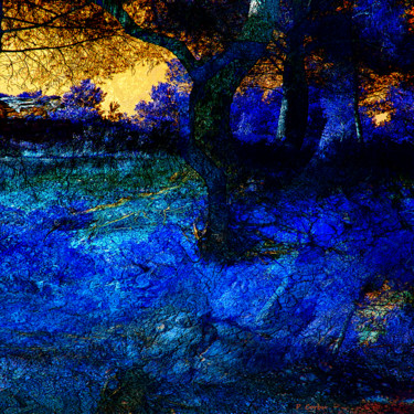 Arte digitale intitolato "STRANGE FOREST" da Pierre Corbu, Opera d'arte originale, Pittura digitale