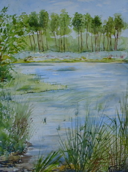 Peinture intitulée "Joncs de l'étang" par Pierre Feyeux, Œuvre d'art originale
