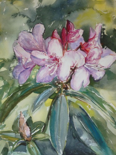 Peinture intitulée "Rhododendrons" par Pierre Feyeux, Œuvre d'art originale, Aquarelle