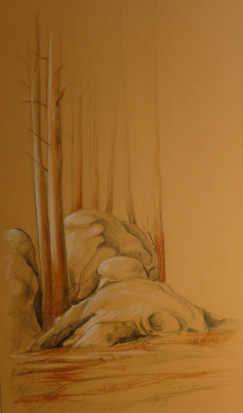 Drawing titled "Rochers dans la For…" by Pierre Feyeux, Original Artwork, Graphite