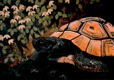 Painting titled "Turtle" by Pierre Giusti, Original Artwork
