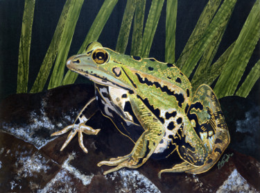 Pittura intitolato "Frog" da Pierre Giusti, Opera d'arte originale
