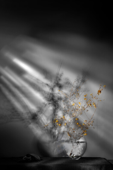 Photography titled "The Creative Power…" by Pietro Cenini, Original Artwork, Digital Photography
