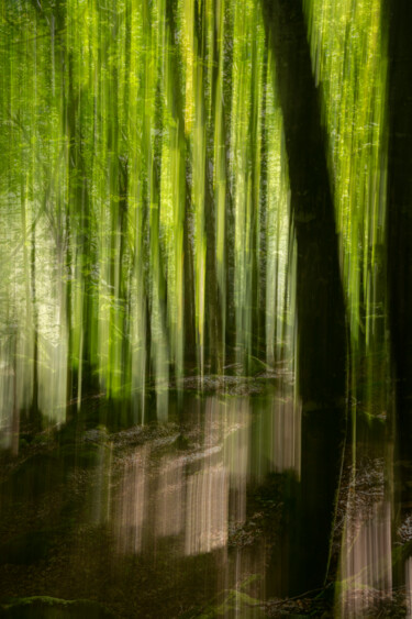 Fotografie mit dem Titel "Ethereal Forest #2" von Pietro Cenini, Original-Kunstwerk, Digitale Fotografie