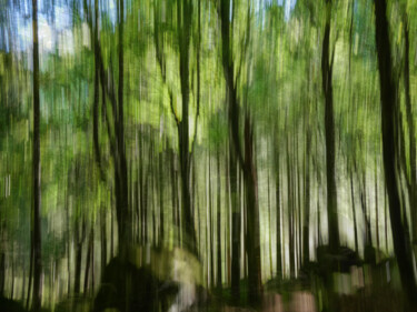 Fotografie mit dem Titel "Ethereal Forest #1" von Pietro Cenini, Original-Kunstwerk, Digitale Fotografie