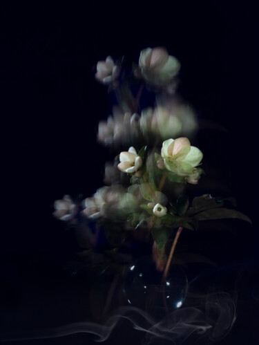 Fotografia intitulada "Dancing Flowers" por Pietro Cenini, Obras de arte originais, Fotografia digital